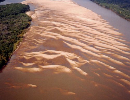 Islas y Bancos del Río Uruguay